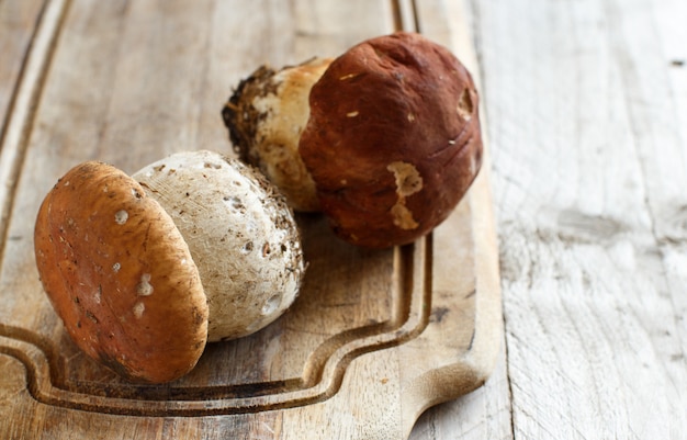 Wild porcino mushrooms on a wooden board close up