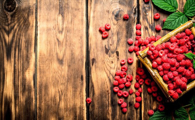 Wild raspberries in the basket. On a wooden table.