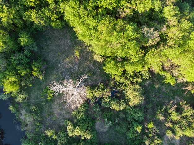 Wild river aerial drone shot