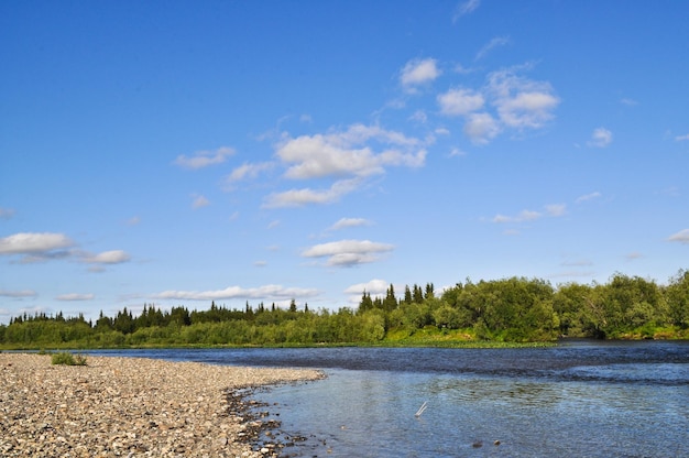 Wild river landscape