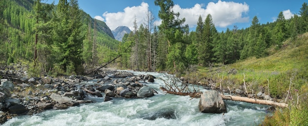 Fiume selvaggio nelle montagne della siberia