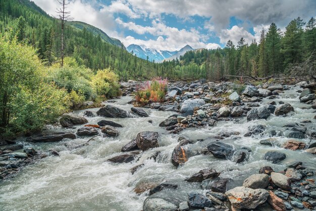 Wild river in the mountains of Siberia