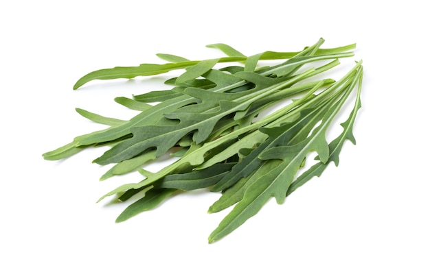 Wild rocket leaves isolated on white backbground