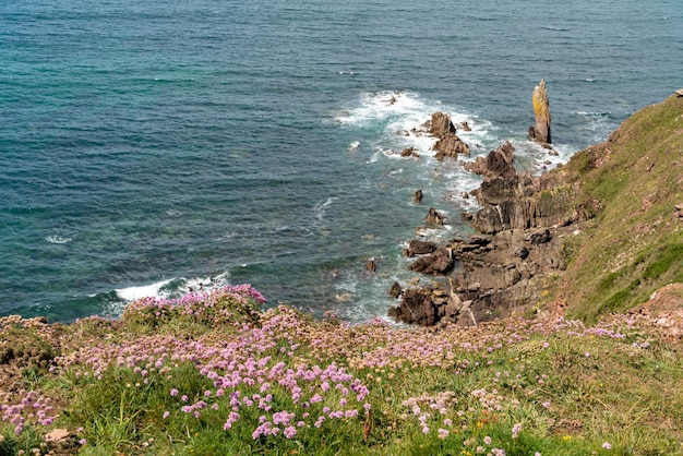 Costa rocciosa selvaggia vicino a thurlestone nel devon