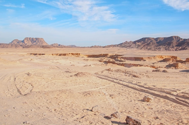 暑い晴れた夏の日に砂から山が上がる 野生のサハラ砂漠 美しい