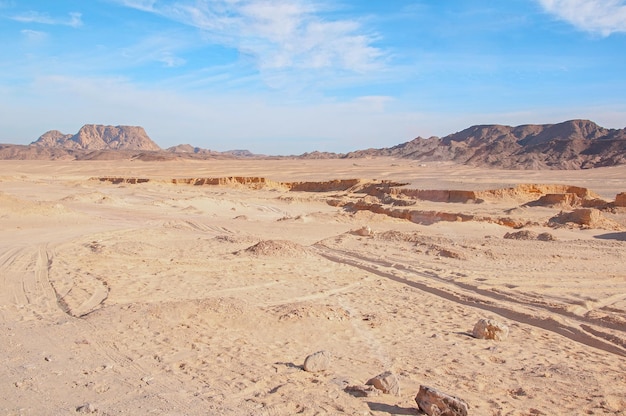 Wild sahara desert with mountains rising from sands on horizon on hot sunny summer day beautiful