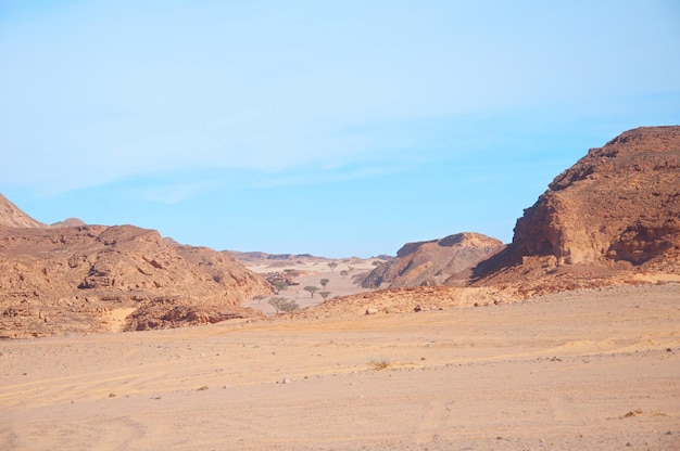 모래에서 솟아오르는 산이 있는 야생 사하라 사막