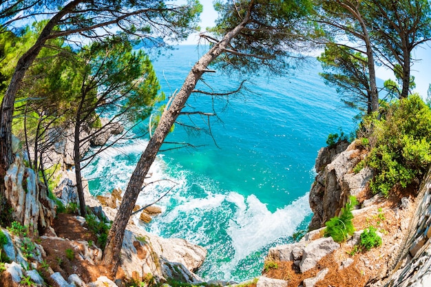 Wild sea coast with cliffs and pines near Petrovac, Montenegro. Fish eye lens effect.