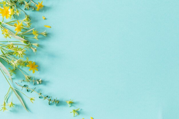 wild spring flowers on paper background