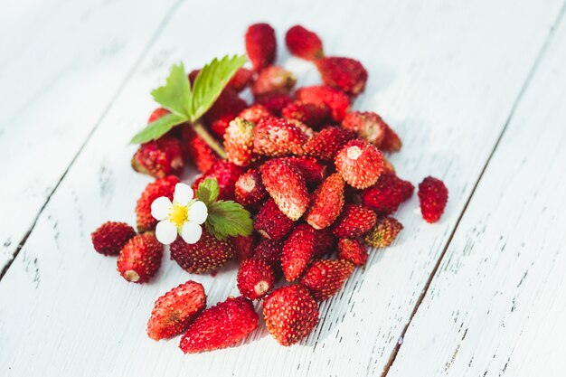 Wild strawberry heap on the table outdoor. Focus on flower