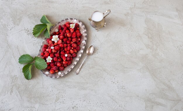 wild strawberry in a silver old plate, creamer with milk and a silver spoon on a gray table 