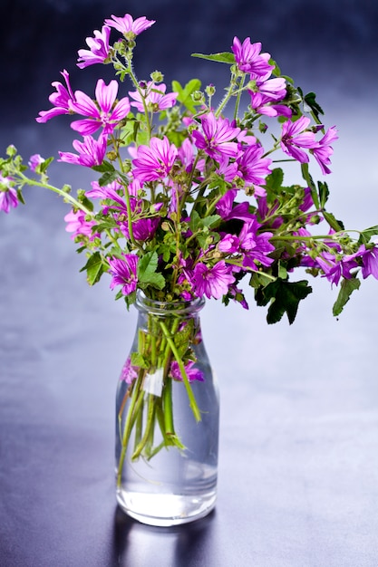 Wild violet flowers in glass bottle 