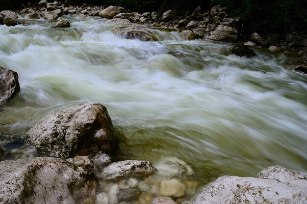 Photo wild water in mountain stream