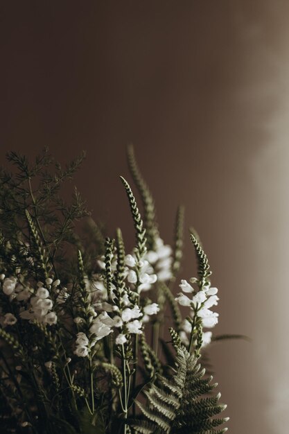 Photo wild white flowers bouquet