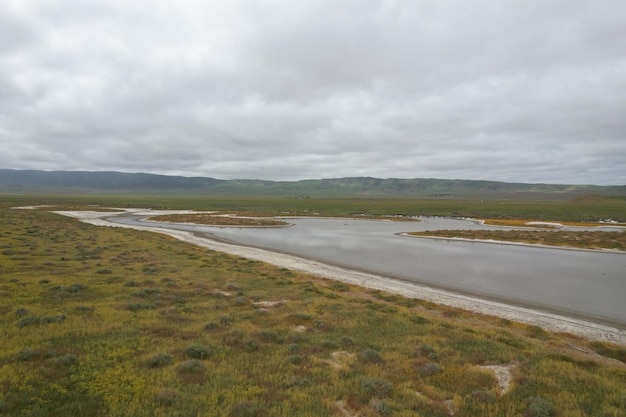 Wilde bloemen bij Carrizo Plain National Monument en Soda-meer