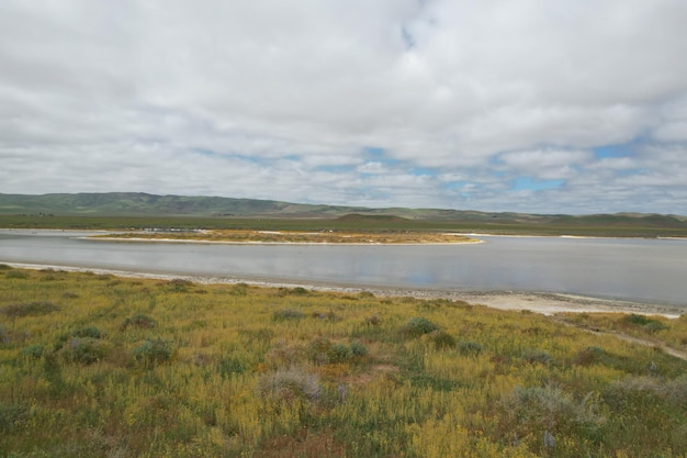 Wilde bloemen bij Carrizo Plain National Monument en Soda-meer