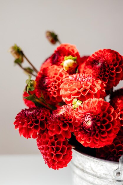 wilde bloemen gefotografeerd op een witte achtergrond bij daglicht bloemen voor uitgesneden witte achtergrond