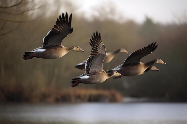 Foto wilde ganzen vliegen ai gegenereerd