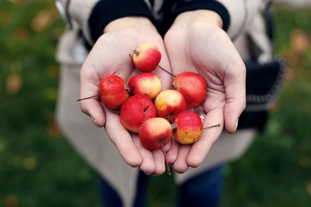 Wilde mini-appels in de handen van een meisje.