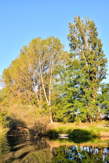 Wilde rivier de Brenta