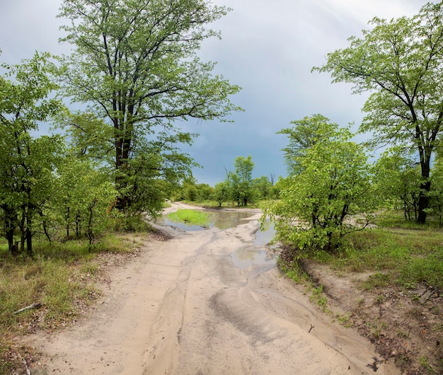 Wildernis en landschap bij Moremi Game Reserve tijdens het regenseizoen Botswana