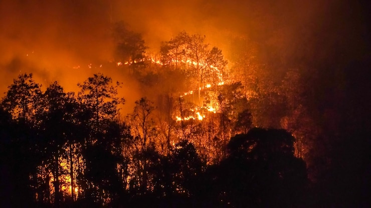 Photo wildfire disaster in tropical forest caused by human