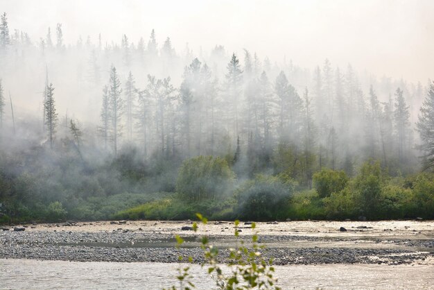 Wildfire in Siberia