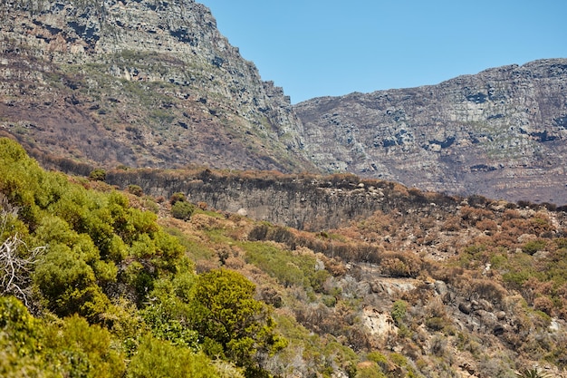 Wildfire Wildfire destruction by nature