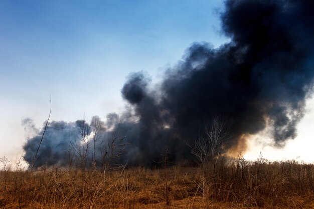 Wildfire with black smoke in the field with dry grass.