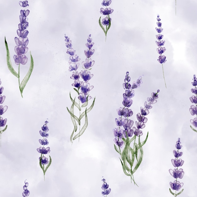 Wildflower lavendel bloemen op tederheid delicate achtergrond naadloze botanische patroon