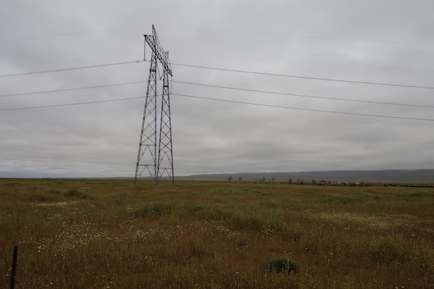 Wildflowers around electric poles at Carrizo Plain National Monument and Soda lake