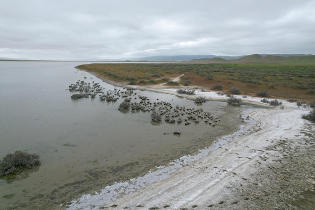 Carrizo Plain National Monument와 Soda 호수의 야생화