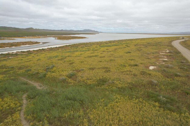 Carrizo Plain National Monument와 Soda 호수의 야생화