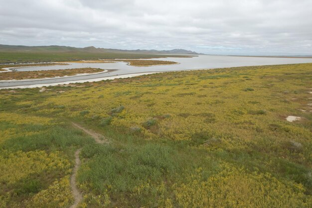 Carrizo Plain National Monument와 Soda 호수의 야생화