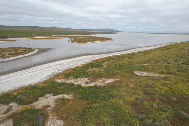 Carrizo Plain National Monument와 Soda 호수의 야생화