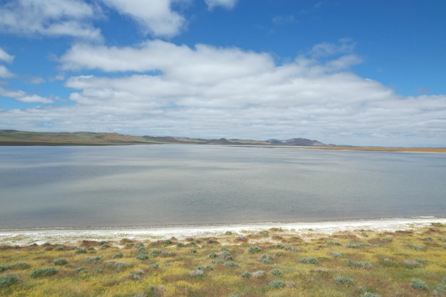 Carrizo Plain National Monument와 Soda 호수의 야생화