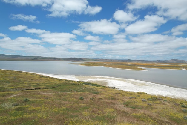 Carrizo Plain National Monument와 Soda 호수의 야생화