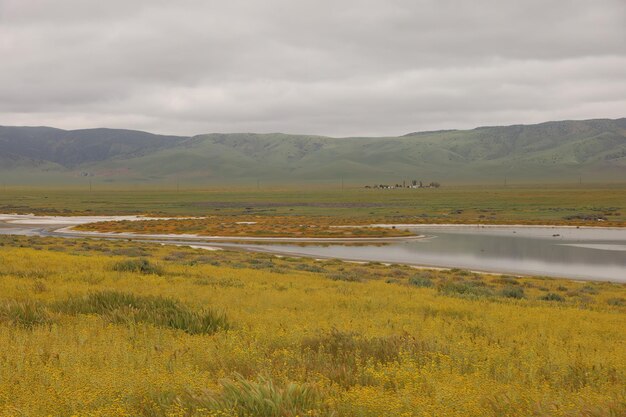 Carrizo Plain National Monument와 Soda 호수의 야생화