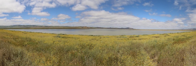 Carrizo Plain National Monument와 Soda 호수의 야생화