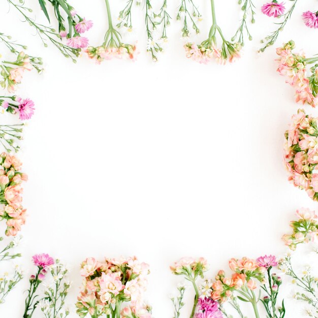 Foto cornice di fiori di campo.