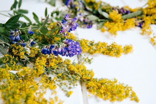 野の花とハーブの森