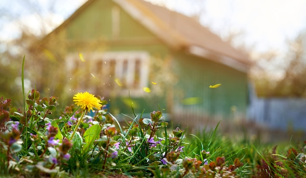 Foto wildflowers op een achtergrond van een landelijk huis