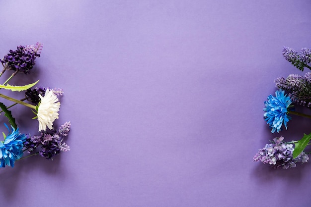 Photo wildflowers on a purple background with plenty of space to write a message