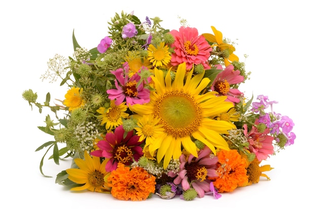 Wildflowers on a white surface isolated