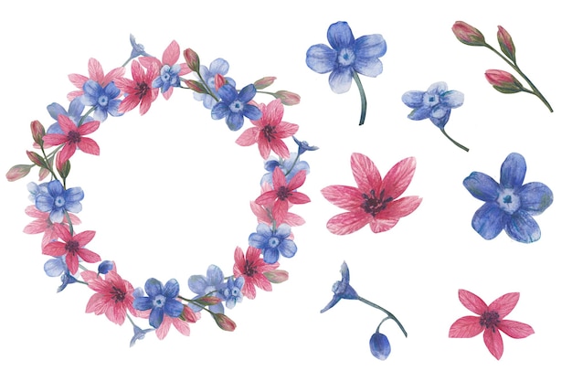 写真 野生の花の花束と花と葉の個々の要素 祝賀カードや招待状のための水彩花の境界 手描きの植物学的イラスト