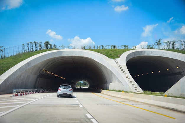 Wildlife crossing over on highway in forest road tunnel traffic car Bridge animals over a highway 