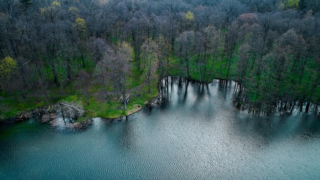 Wildlife in de lente fotograferen vanuit een drone