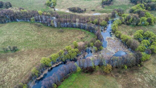 Wildlife in spring shooting from a drone