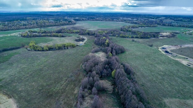 Wildlife in spring shooting from a drone