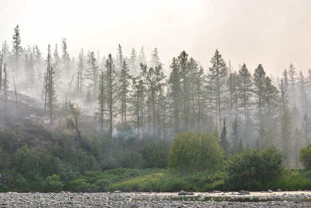 Wildvuur in Siberië